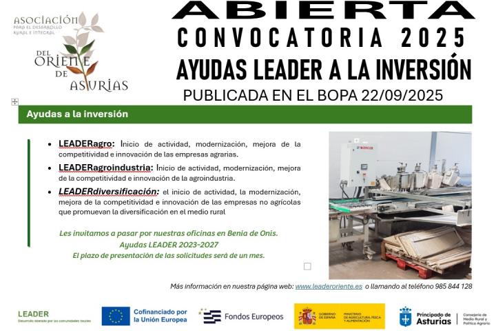 Ayudas inversión